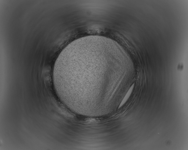 X0000090900616200708270945