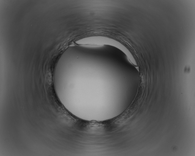X0000090900617200708270945