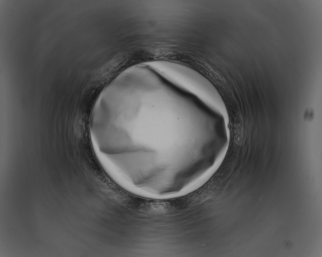 X0000090900618200708270945