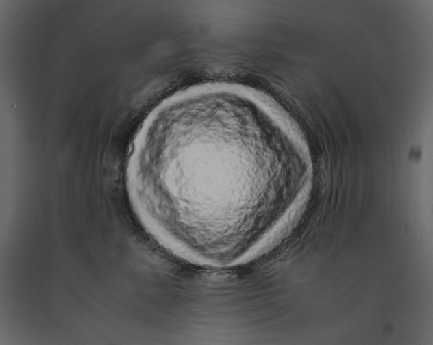 X0000090900619200708270945