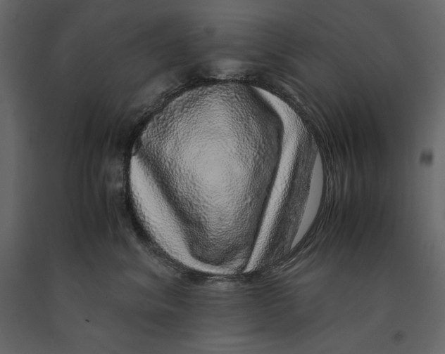 X0000090900620200708270945