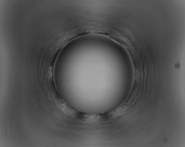 X0000090900621200708270945
