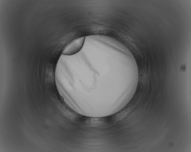 X0000090900622200708270945