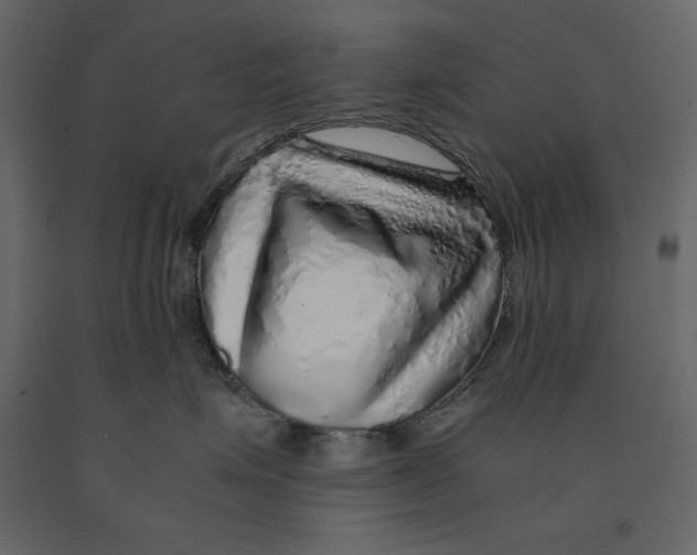X0000090900623200708270945