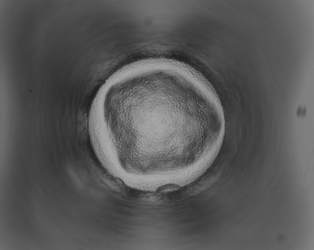 X0000090900624200708270945