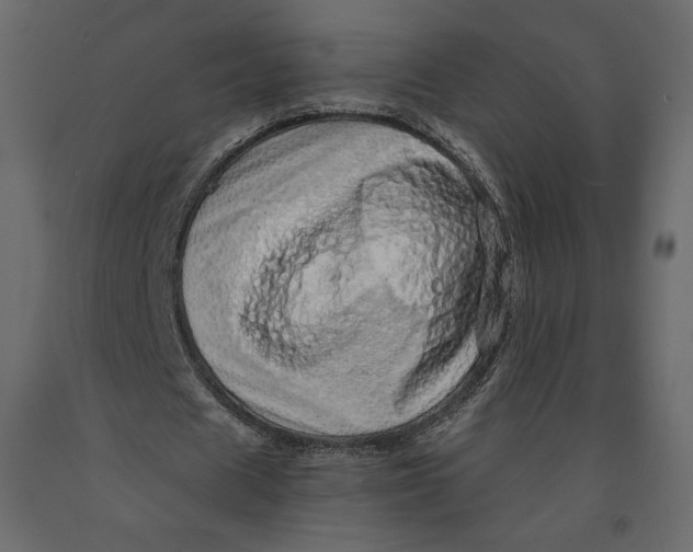 X0000090900625200708270944