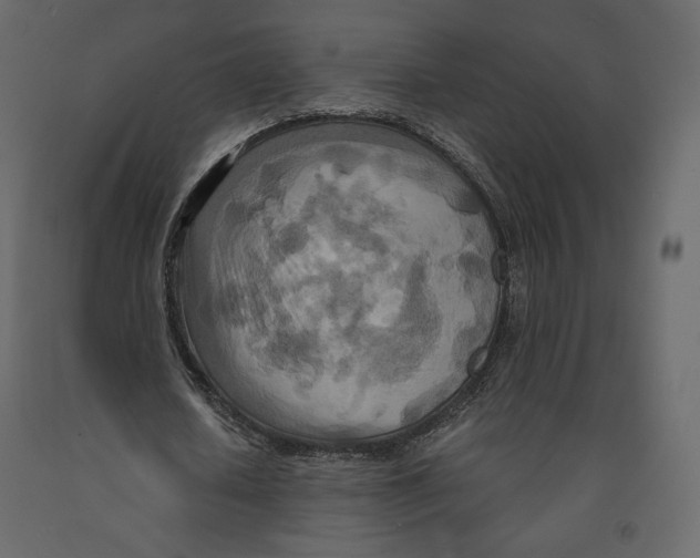 X0000090900626200708270944
