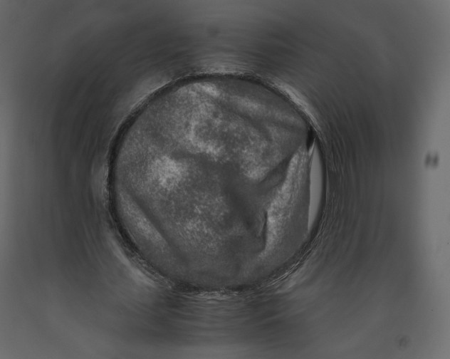 X0000090900627200708270944