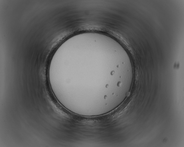 X0000090900629200708270944