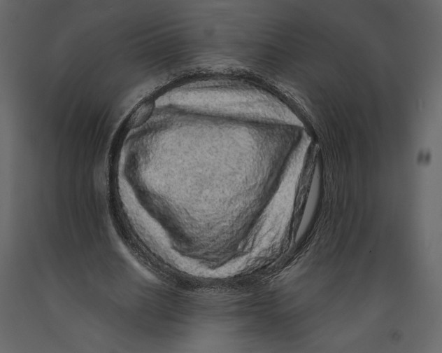 X0000090900630200708270945