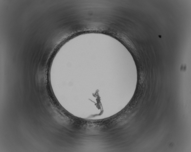 X0000090900632200708270945