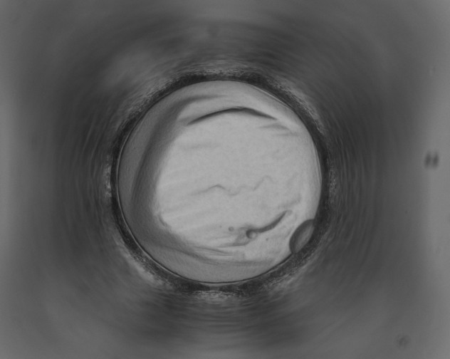 X0000090900633200708270945