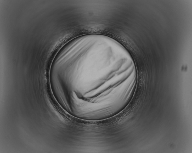 X0000090900634200708270945