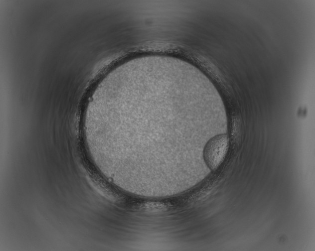 X0000090900636200708270945