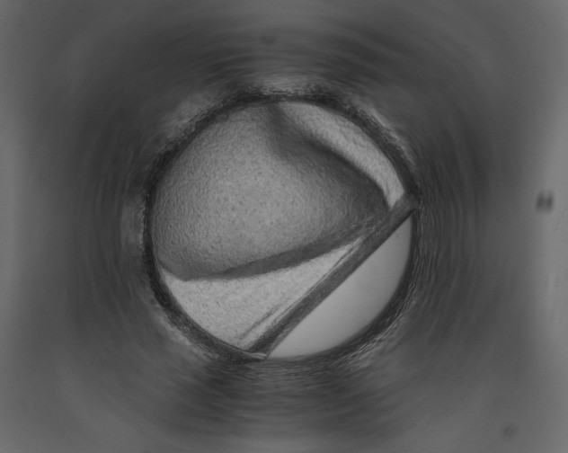 X0000090900637200708270945
