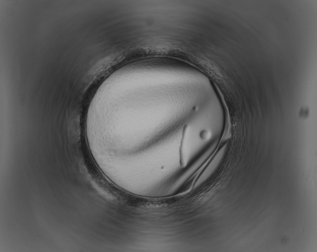 X0000090900638200708270945