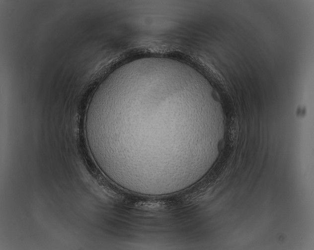 X0000090900639200708270945