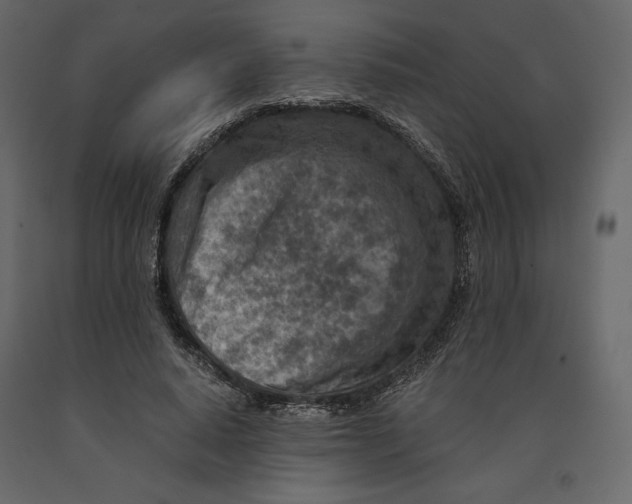 X0000090900640200708270945