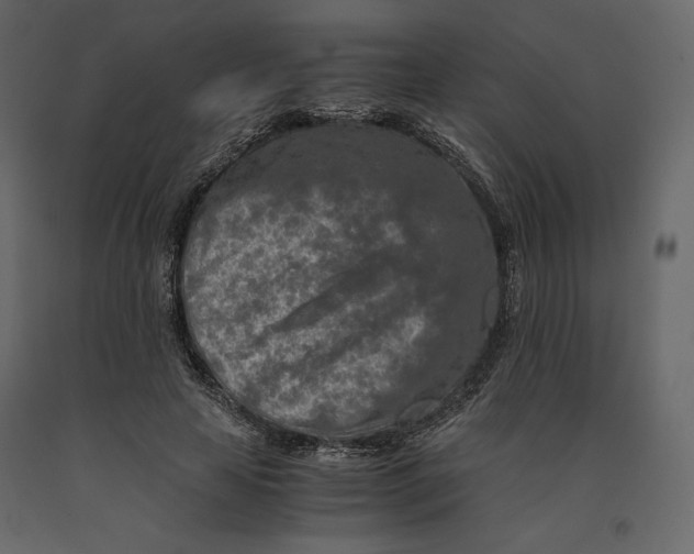 X0000090900641200708270945
