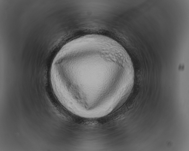 X0000090900642200708270945