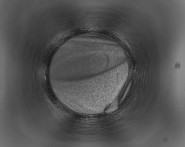 X0000090900643200708270945