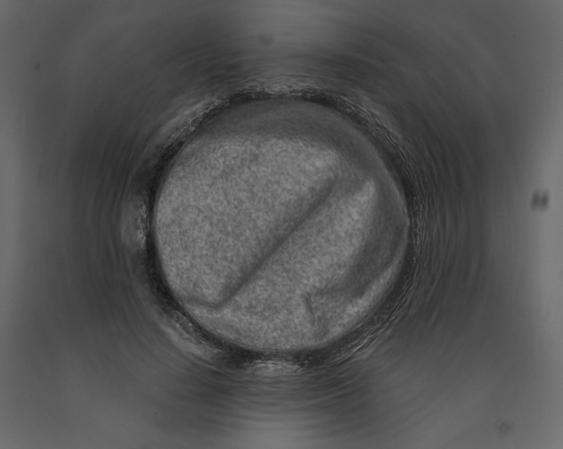 X0000090900644200708270945