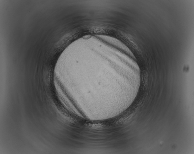 X0000090900645200708270945