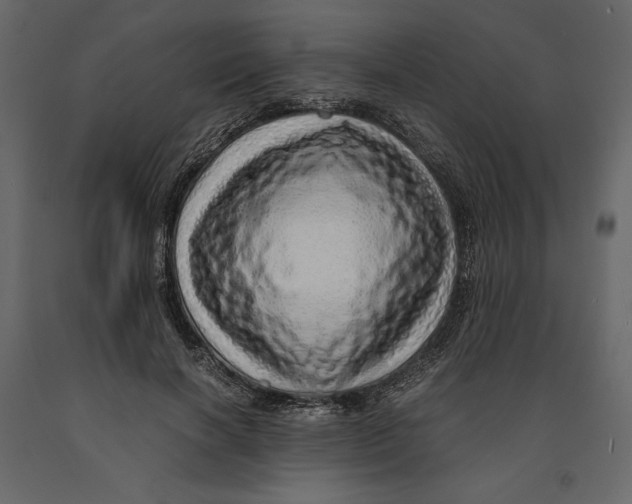 X0000090900646200708270945