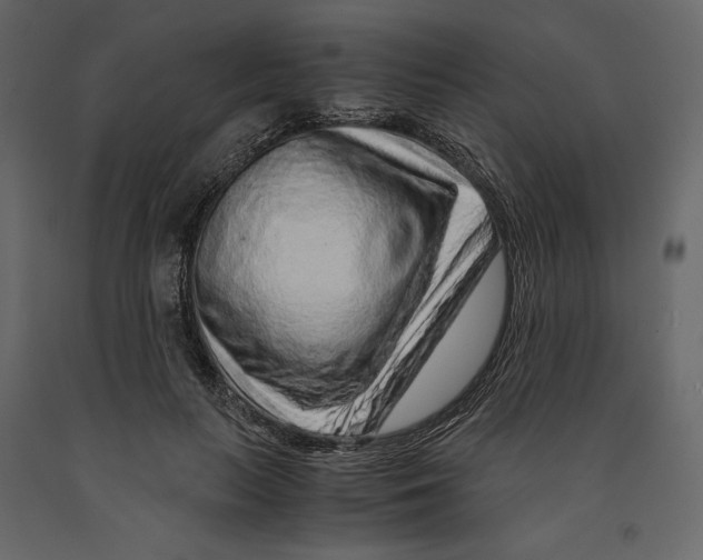 X0000090900647200708270945