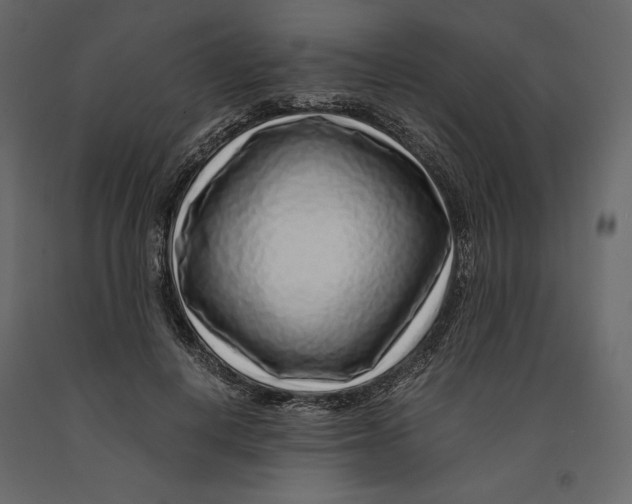 X0000090900648200708270945