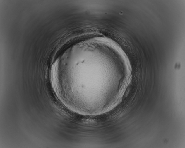X0000090900649200708270945