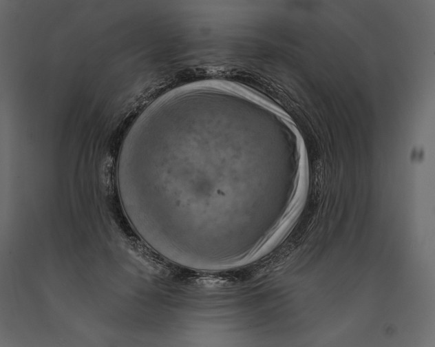 X0000090900650200708270945