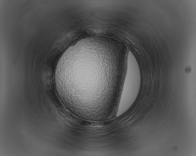 X0000090900651200708270945