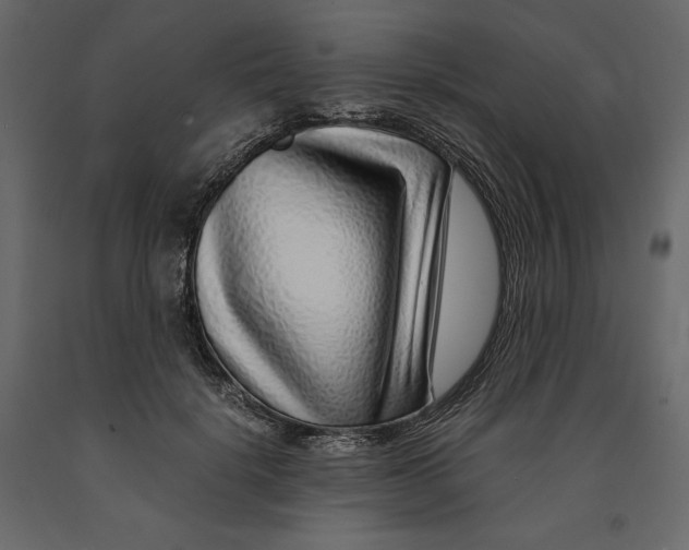 X0000090900652200708270945