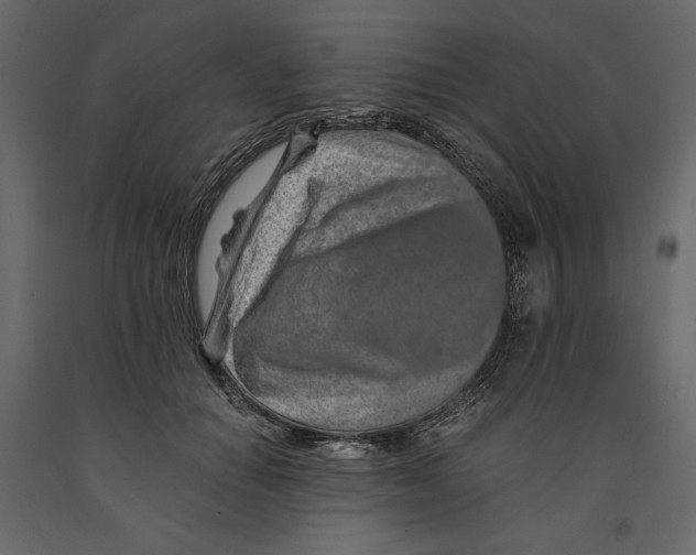 X0000090900654200708270945