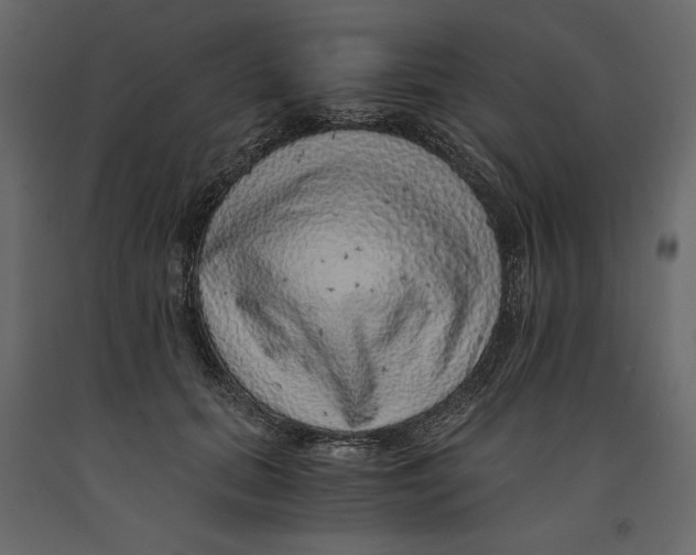 X0000090900655200708270945