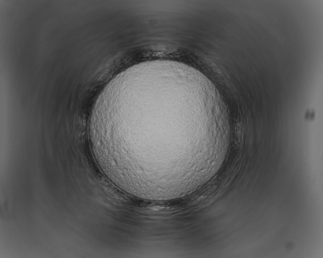 X0000090900657200708270945