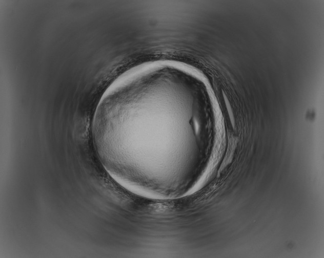 X0000090900660200708270945
