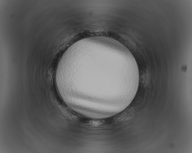 X0000090900662200708270945