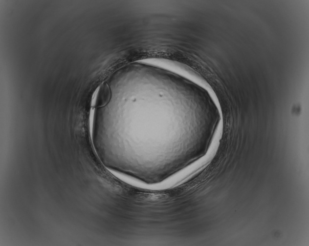 X0000090900663200708270945