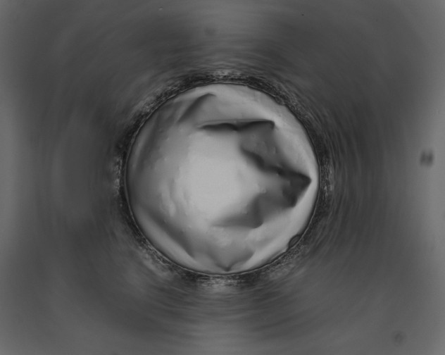 X0000090900664200708270945