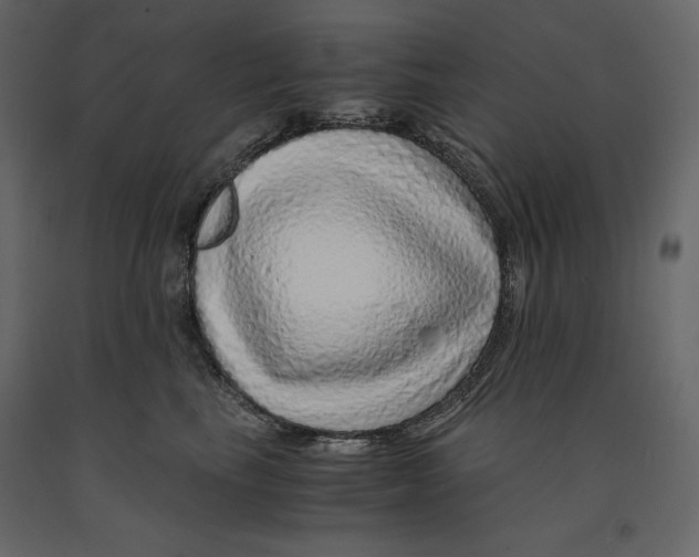 X0000090900665200708270945