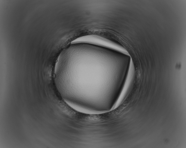 X0000090900668200708270945