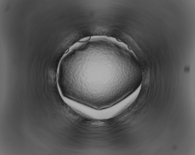 X0000090900669200708270945