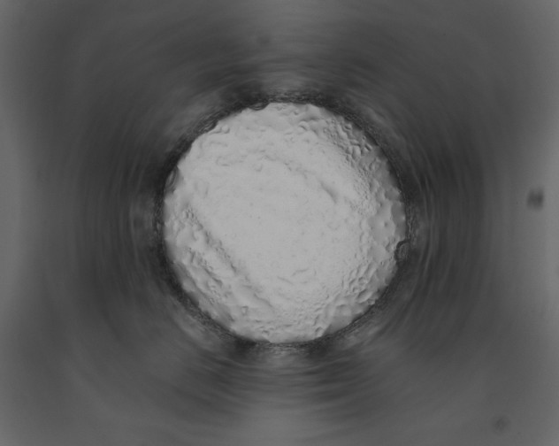 X0000090900670200708270945