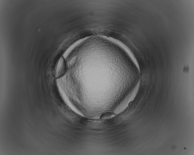X0000090900671200708270945