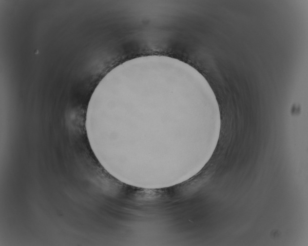 X0000090900672200708270945