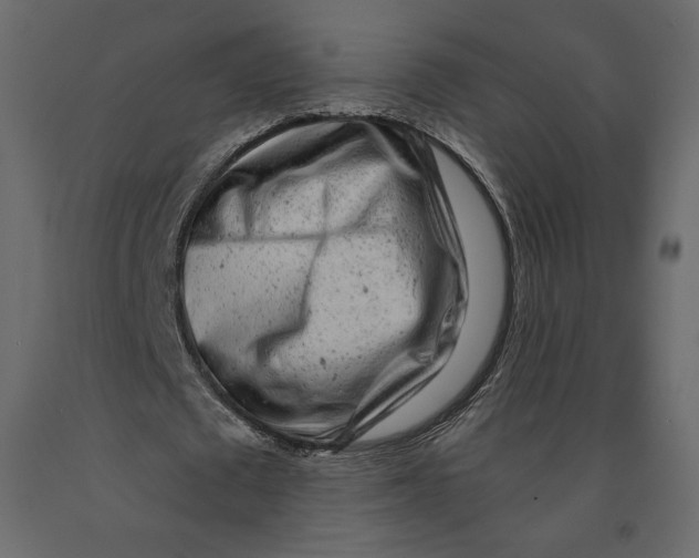 X0000090900673200708270944
