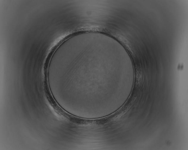 X0000090900674200708270944