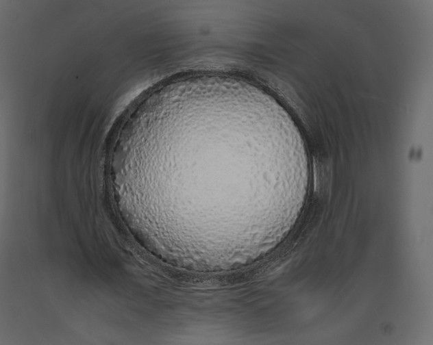 X0000090900675200708270944